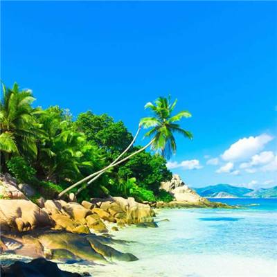 金沙直播app下载